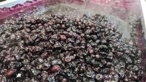 Great Lakes Ice Cream Company