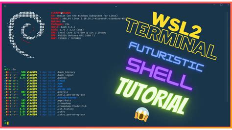WSL2 Windows 1.0 Zsh 的图像结果