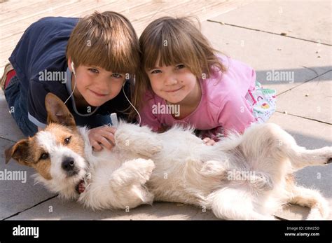 Sis vs Bro Dog 的图像结果