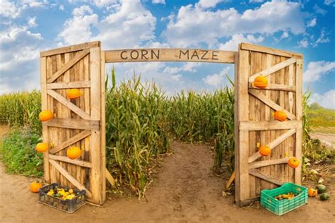 Corn Maze 的图像结果