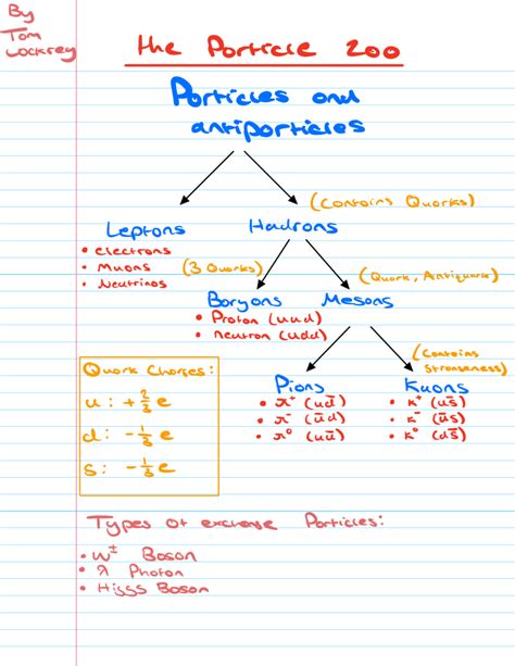 Image result for Particle Types