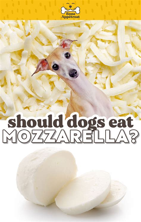 Can Dogs Eat Fresh Mozzarella Cheese at Louis Brannan blog