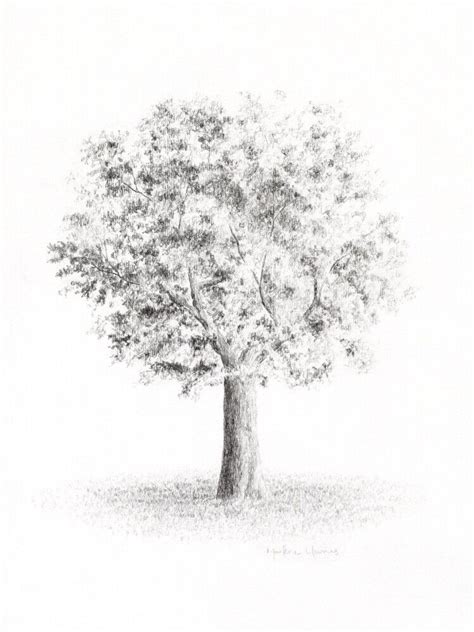 Image result for Nature Drawing in Computer