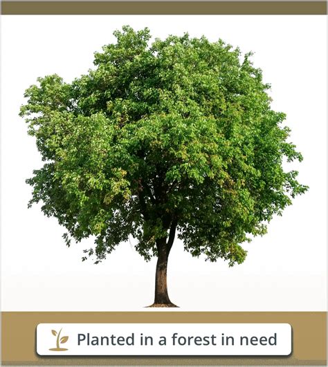 Tommy Wegner's Memorial Wall | Haut Funeral Home