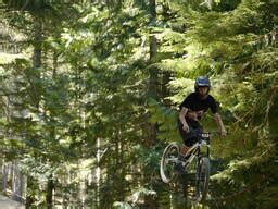 Photos - Roots & Rain