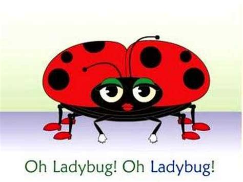 Image result for Ladybug Song