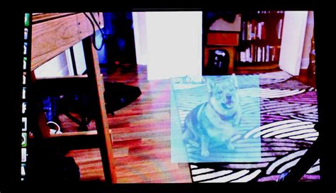 NVIDIA Jetson Nano - Part 2: Image Classification with Machine Learning