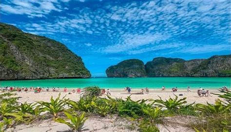 Phi Phi Islands in Thailand: A Guide Of 2026