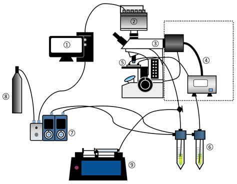 Examination of Haines Jump in Microfluidic Experiments via Evolution ...