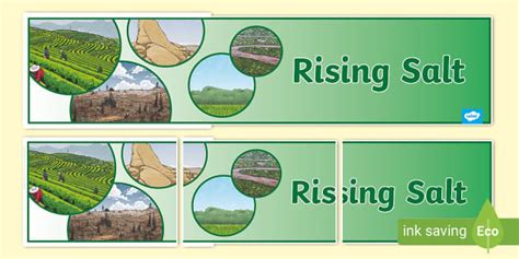 Rising Salt Year 6 Biological Sciences Display Banner