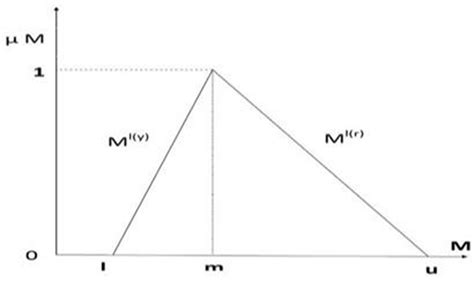 Image result for Fuzzy Numbers