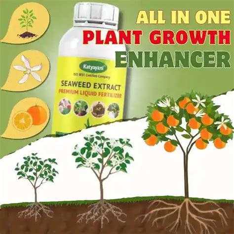 Buy Best Seaweed Extract Fertilizer in India | 1+1 Free