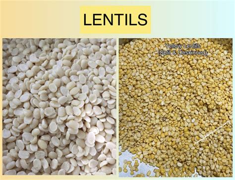 Pulses vs Lentils | Know the Differences - FOODIE GARIMA