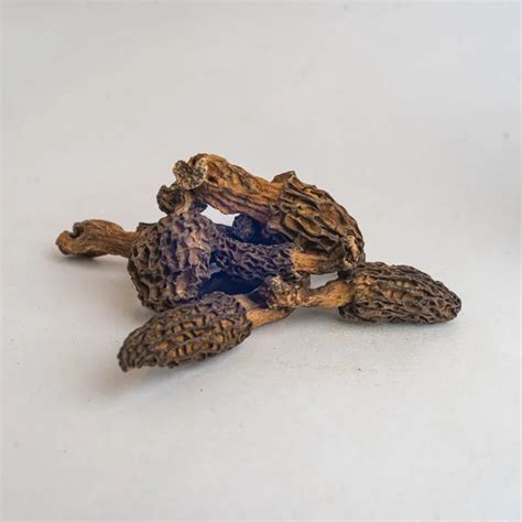 Buy Kashmiri Saffron Online India | Original Kesar Saffron at Best ...