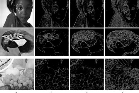 Image result for Object Detection Using Canny Edges