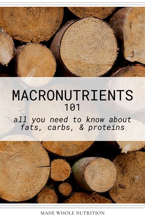 Image result for Which Macronutrient Builds All Structures