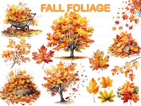 Fall Tree Clipart Images