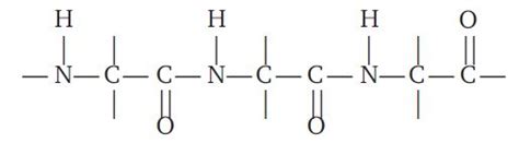 Which one of the following structures represents the peptide chain