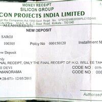 Silicon Projects India — Claim of policy maturity