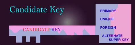 Image result for Candidate key Database Concepts