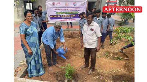 World Ozone Day: Plantation of fruit tree saplings in govt school at ...