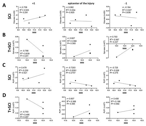 Impact of Endurance Training on Regeneration of Axons, Glial Cells, and ...