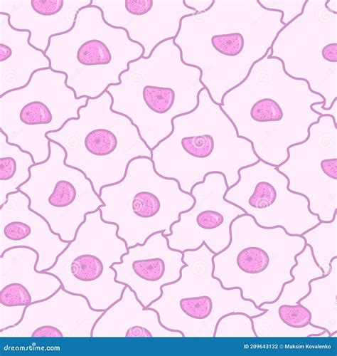 Image result for Tissue Sample Drawing Under Microscope