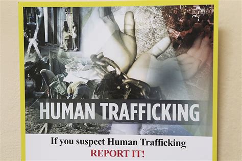 CTIP: A resource to prevent human trafficking for all | Article | The ...