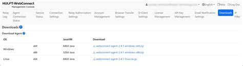 Agent Web Client 的图像结果