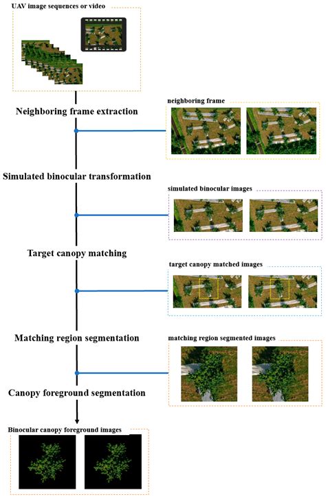 A UAV-Based Single-Lens Stereoscopic Photography Method for Phenotyping ...