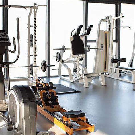 Buy Total Gym Replacement Set Wheels/Rollers for Models XL, XLS and ...