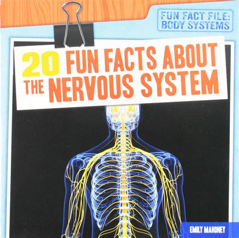 Interesting Facts Nervous System - aromapic