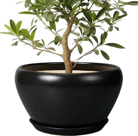 Ceramic Pot for Plants Large - 13 Inch Plant Pot Indoor with Drainage ...