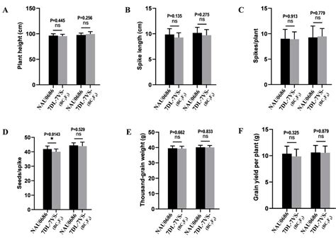 Transferring an Adult-Plant Stripe-Rust Resistance Gene Yr7VS from ...