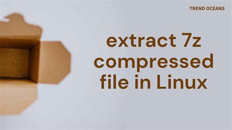 Extract 7Z File 的图像结果