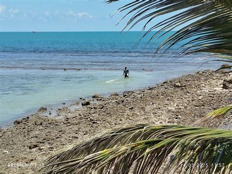 THE 5 BEST Things to Do Near Village Hotel Northern Point (2026)