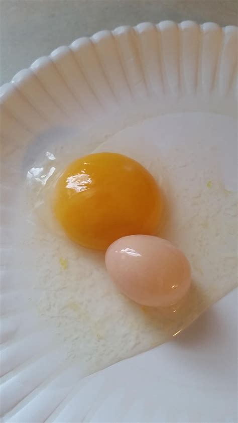 Egg inside an egg! : r/BackYardChickens