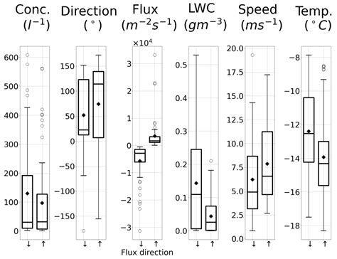 Measurements of Ice Crystal Fluxes from the Surface at a Mountain Top Site