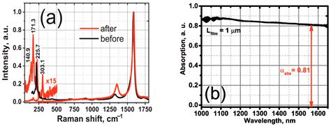 Femtosecond Er-Doped All-Fiber Laser with High-Density Well-Aligned ...