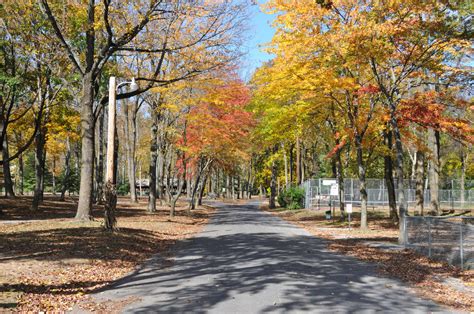 Parks & Recreation | Thurmont, MD - Official Website