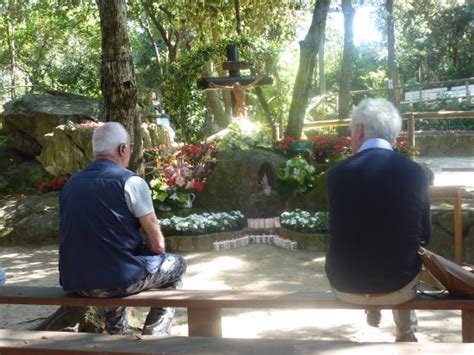 Isola d'Ischia Pictures - Traveller Photos of Isola d'Ischia, Province ...
