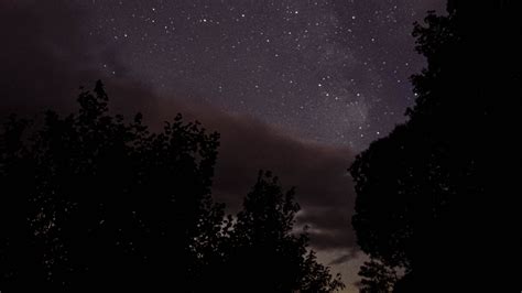 Download wallpaper 2560x1440 starry sky, night, trees, silhouettes ...