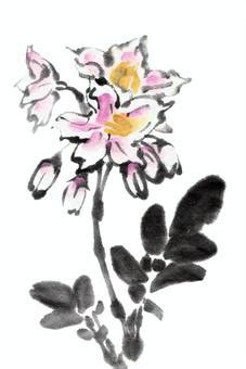 Image result for JavaScript Graphics Contest
