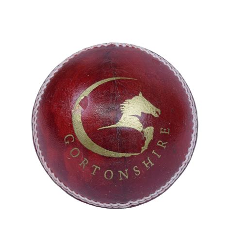Red Cricket Ball | Cricketershop