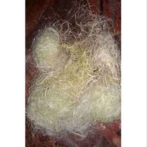 Natural Fibers - Sun Hemp Fiber Retailer from Chennai