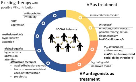 Vasopressin as Possible Treatment Option in Autism Spectrum Disorder