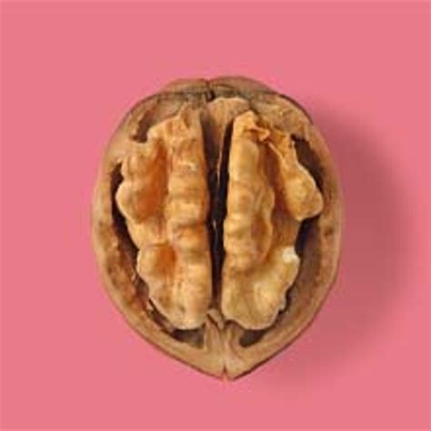 Image result for Artificial Intelligence Overview