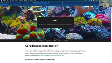 Coral Language Basics 的图像结果