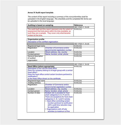 Audit Report Example 的图像结果