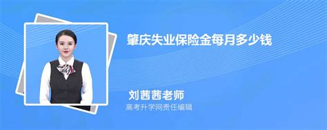 肇庆高新区66名首席服务官全力以赴招商引资 - 园区热点 - 中国高新网 - 中国高新技术产业导报